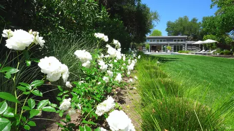 Exterior - 470 E Napa St, Sonoma, CA 95476 photo 14 of 18