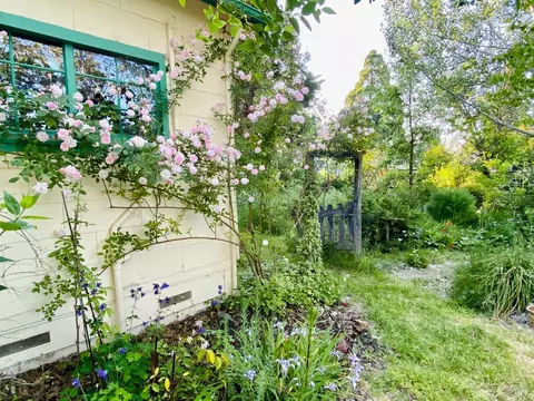 21575 Locust St, Willits, CA 95490 photo 51