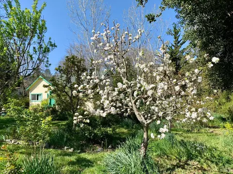 21575 Locust St, Willits, CA 95490 photo 49