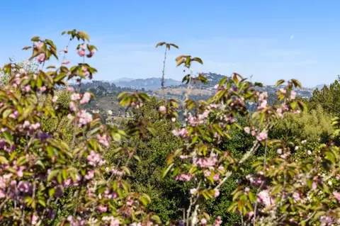 384 Ridgewood Ave, Mill Valley, CA 94941 photo 58