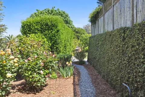 384 Ridgewood Ave, Mill Valley, CA 94941 photo 50