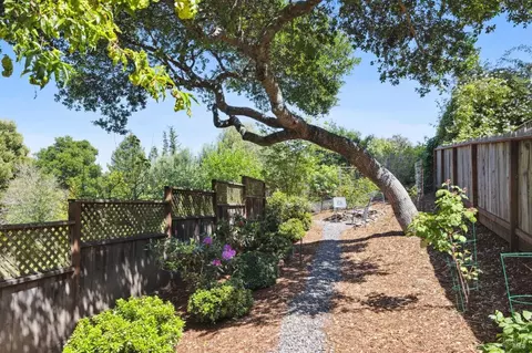 384 Ridgewood Ave, Mill Valley, CA 94941 photo 53