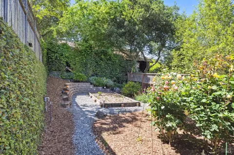 384 Ridgewood Ave, Mill Valley, CA 94941 photo 46