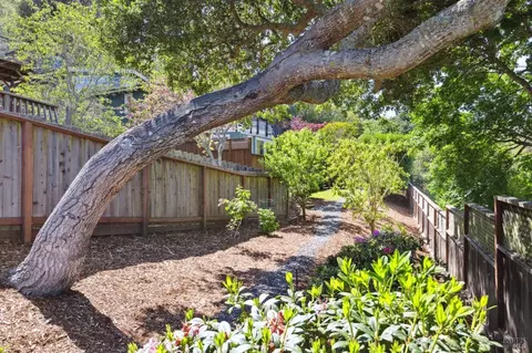 384 Ridgewood Ave, Mill Valley, CA 94941 photo 55