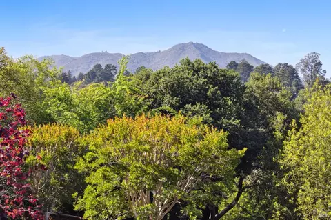 384 Ridgewood Ave, Mill Valley, CA 94941 photo 59