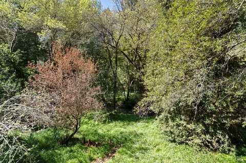 View/Area - 40 Lagunitas Rd, Lagunitas, CA 94938 photo 2 of 2