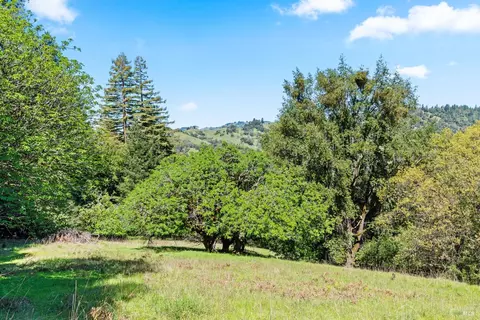 View/Area - 201 Pine Ridge Rd, Ukiah, CA 95482 photo 5 of 16