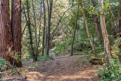 View/Area - 201 Pine Ridge Rd, Ukiah, CA 95482 photo 7 of 16