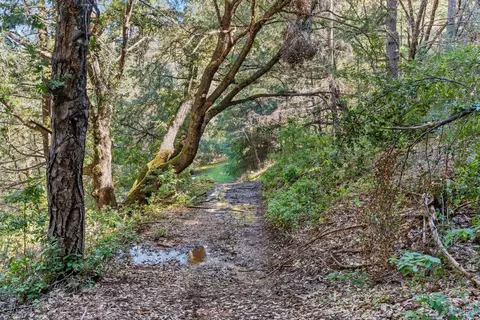 Other - 201 Pine Ridge Rd, Ukiah, CA 95482 photo 9 of 10