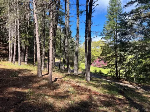 View/Area - 201 Pine Ridge Rd, Ukiah, CA 95482 photo 1 of 16
