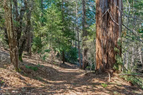 Other - 201 Pine Ridge Rd, Ukiah, CA 95482 photo 6 of 10