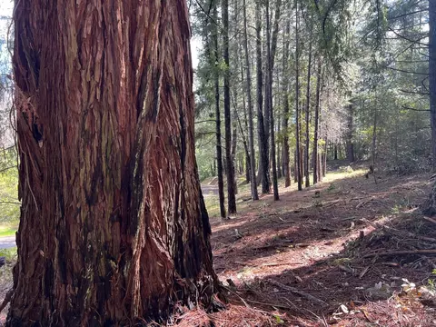 View/Area - 201 Pine Ridge Rd, Ukiah, CA 95482 photo 2 of 16