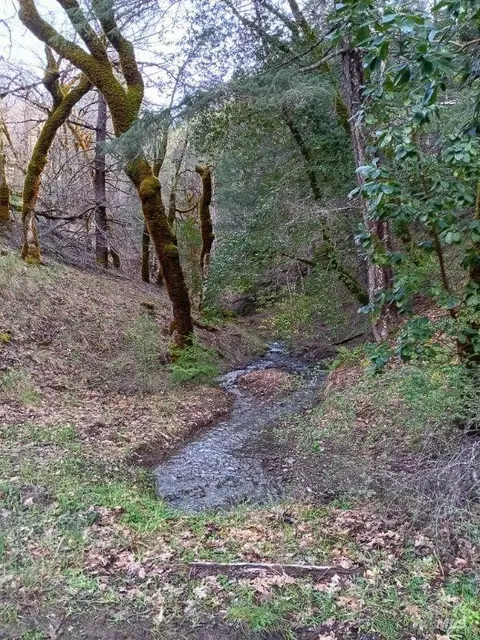 48670 N Hwy 101 Hwy, Laytonville, CA 95454
