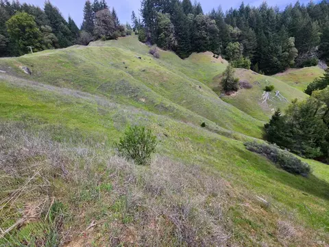 4255 Blackhawk Dr, Willits, CA 95490 photo 11