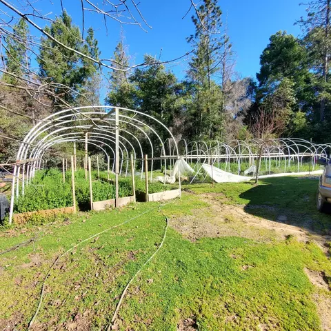 7030 Hearst Willits Rd, Willits, CA 95490 photo 14