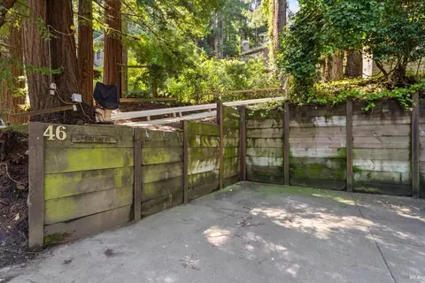 46 Molino Ave, Mill Valley, CA 94941 photo 17