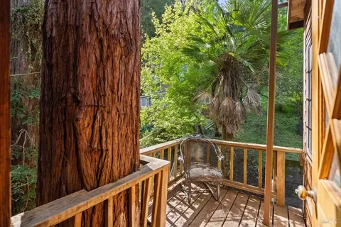 46 Molino Ave, Mill Valley, CA 94941 photo 7