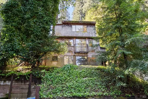 46 Molino Ave, Mill Valley, CA 94941