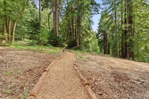 17000 Jennifer Dr, Occidental, CA 95465 photo 2