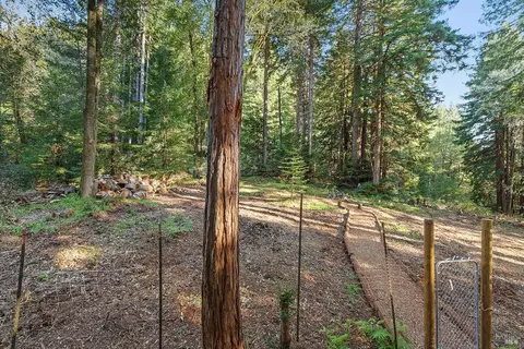 17000 Jennifer Dr, Occidental, CA 95465