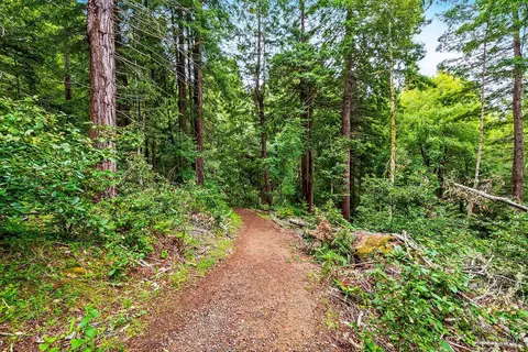 17000 Jennifer Dr, Occidental, CA 95465 photo 5
