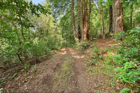 17000 Jennifer Dr, Occidental, CA 95465 photo 11