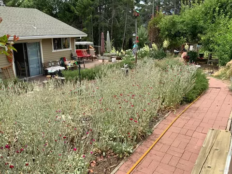 Undisclosed, Willits, CA 95490 photo 3