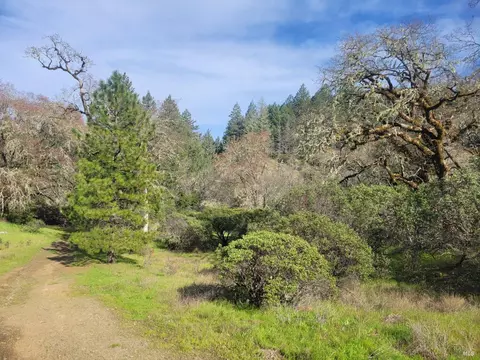 10681 Hearst Rd, Willits, CA 95490 photo 23