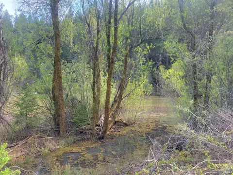10681 Hearst Rd, Willits, CA 95490 photo 20