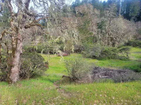 10681 Hearst Rd, Willits, CA 95490 photo 19