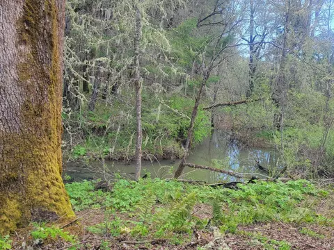 10681 Hearst Rd, Willits, CA 95490 photo 11