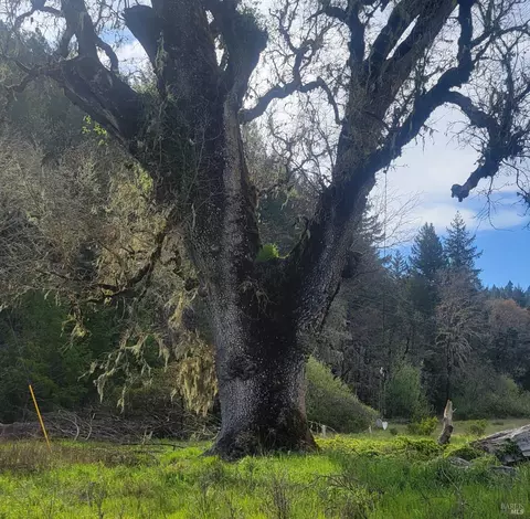 10681 Hearst Rd, Willits, CA 95490 photo 8