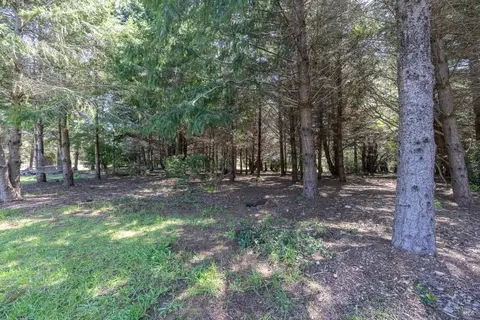 View/Area - 46250 Iversen Dr, Gualala, CA 95445 photo 1 of 2