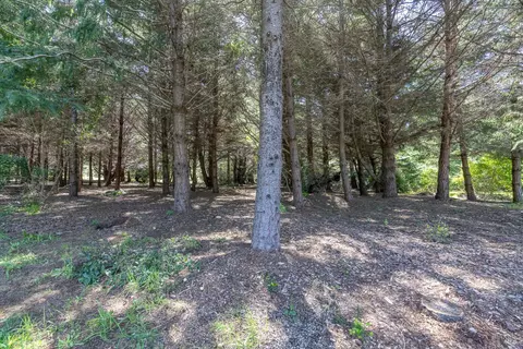 View/Area - 46250 Iversen Dr, Gualala, CA 95445 photo 2 of 2