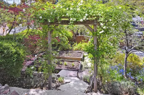 Exterior - 95 Eldridge Ave, Mill Valley, CA 94941 photo 25 of 34