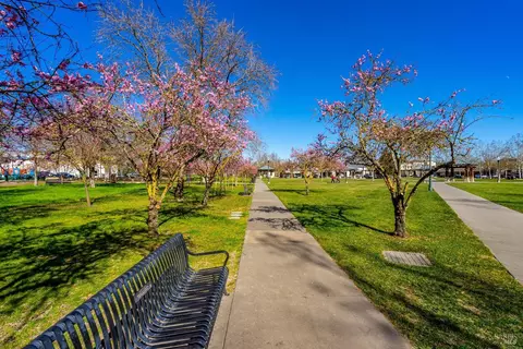 View/Area - 507 Sauvignon Pl, Windsor, CA 95492 photo 4 of 4