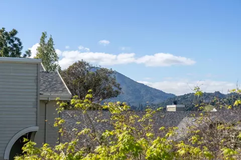 Exterior - 111 Eucalyptus Knoll St, Mill Valley, CA 94941 photo 7 of 12