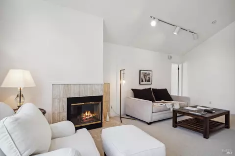Living - 111 Eucalyptus Knoll St, Mill Valley, CA 94941 photo 4 of 5