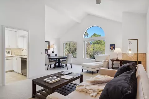Living - 111 Eucalyptus Knoll St, Mill Valley, CA 94941 photo 1 of 5