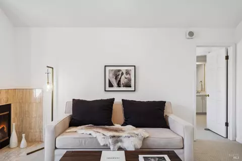 Living - 111 Eucalyptus Knoll St, Mill Valley, CA 94941 photo 2 of 5