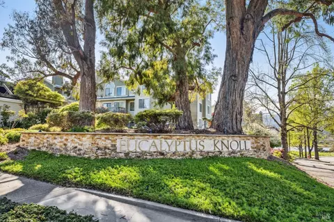 111 Eucalyptus Knoll St, Mill Valley, CA 94941