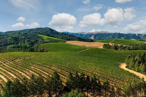 9965 W Dry Creek Rd, Healdsburg, CA 95448