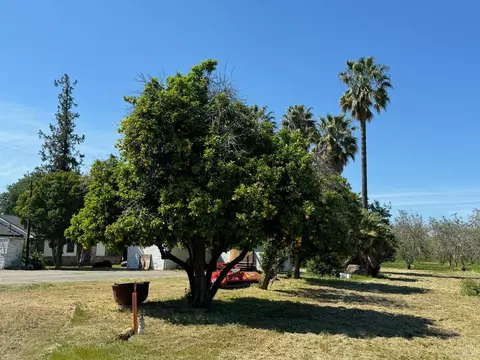 8552 Holmes Ln, Winters, CA 95694 photo 37