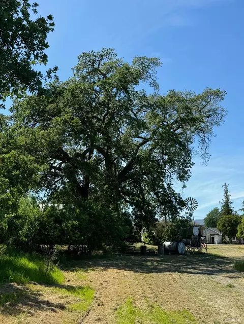 8552 Holmes Ln, Winters, CA 95694 photo 35