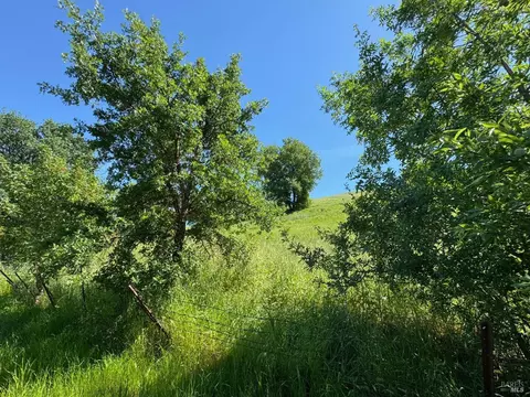 8552 Holmes Ln, Winters, CA 95694 photo 27