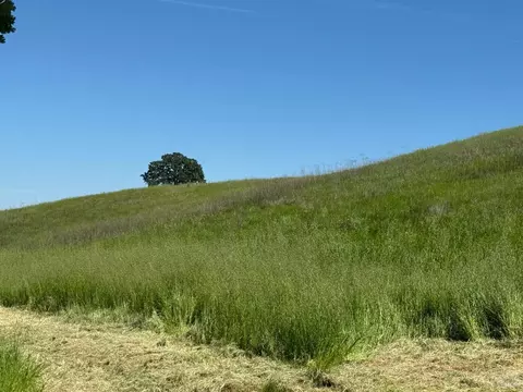 8552 Holmes Ln, Winters, CA 95694 photo 30