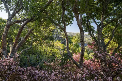 358 Dolan Ave, Mill Valley, CA 94941 photo 32