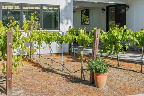Exterior - 402 E Macarthur St, Sonoma, CA 95476 photo 13 of 31