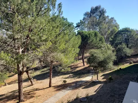 2 Chaucer Ct, Mill Valley, CA 94941 photo 38