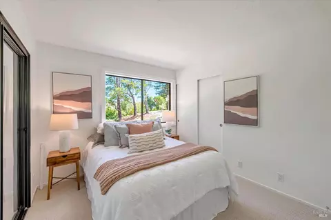 2 Chaucer Ct, Mill Valley, CA 94941 photo 24
